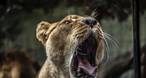 How To Use Basic Design Principles To Decorate Your Home